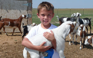 Farm Fresh Goat Milk Products from Windrift Hill boy holding a goat