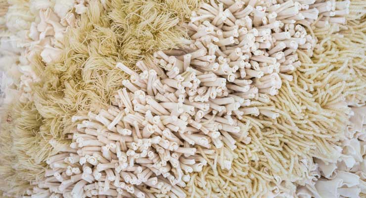 Key Strategies for Retailers to Push Sustainability Efforts an array of textile fibers